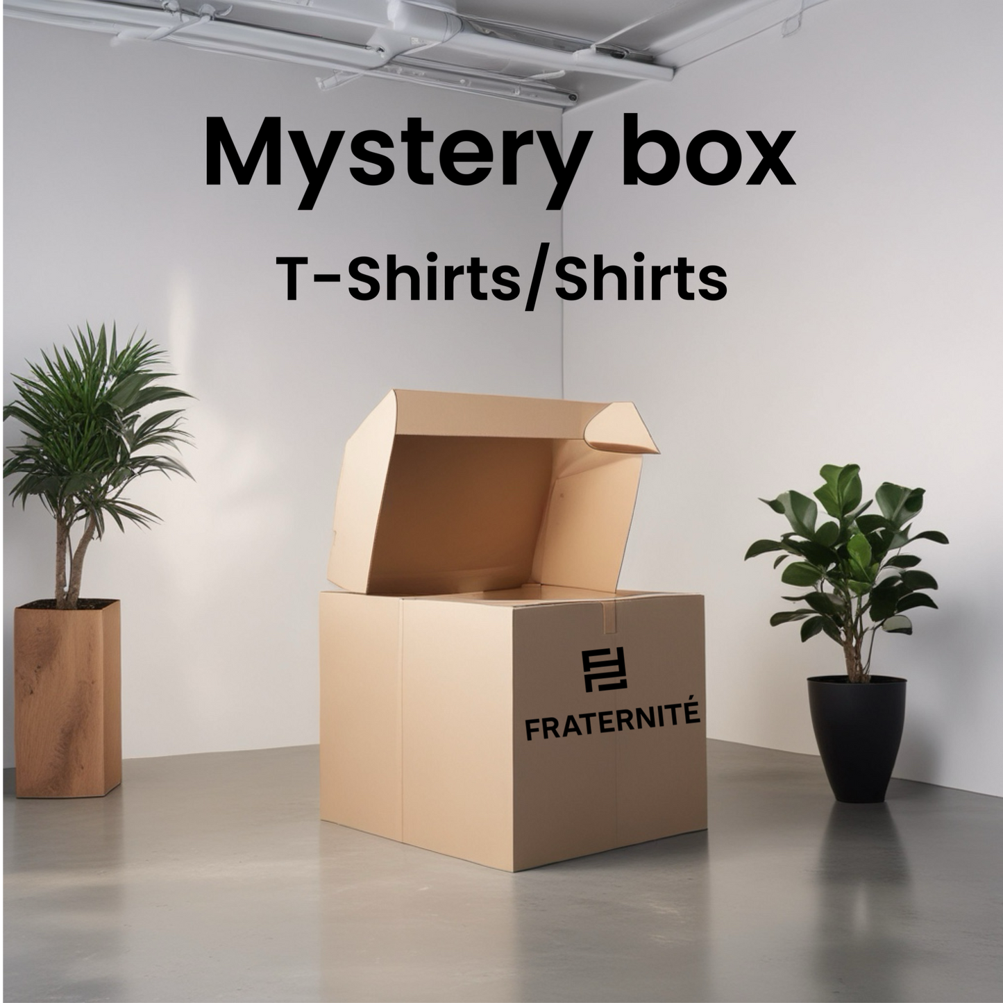 Mystery Box T-Shirts/Shirts