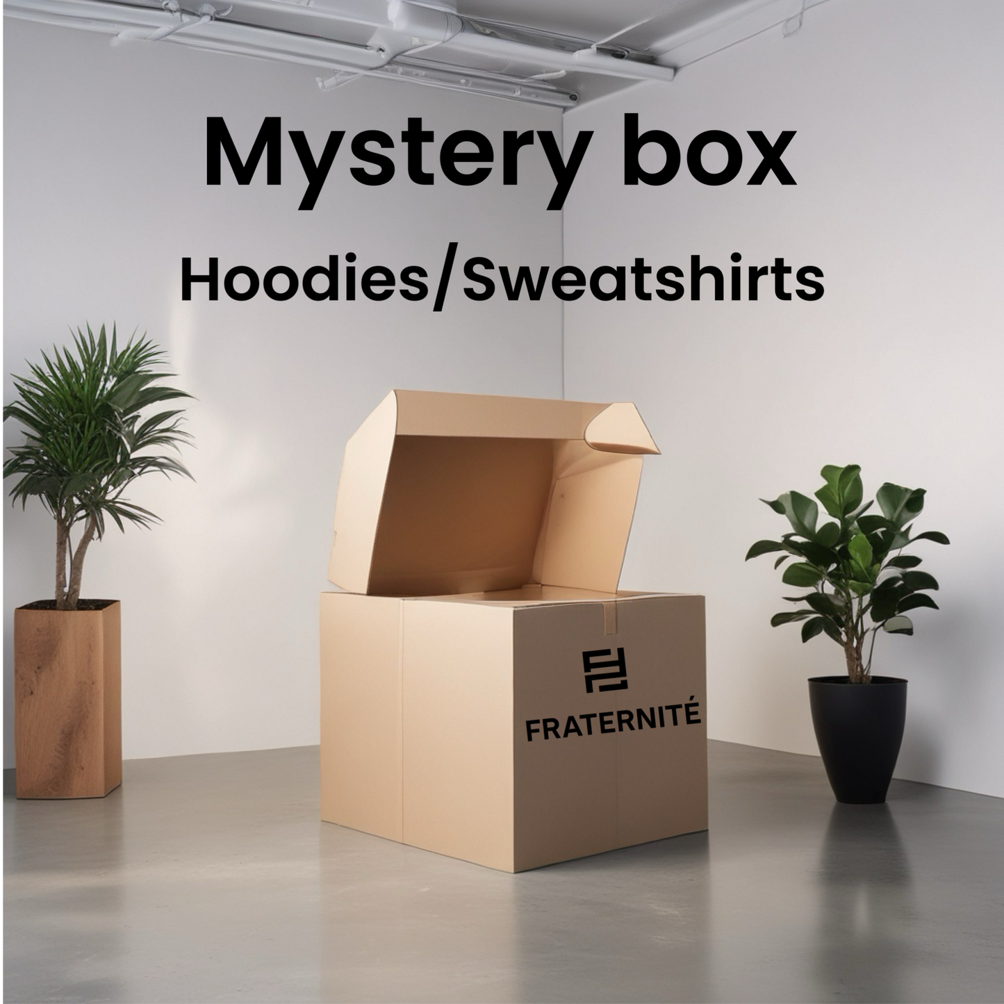 Mystery Box Hoodies/Sweatshirts